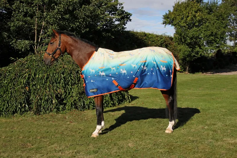 StormX Original 'Seaside Donkey' Turnout Rug